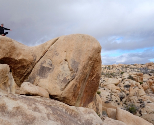 Joshua Tree Corporate Retreat