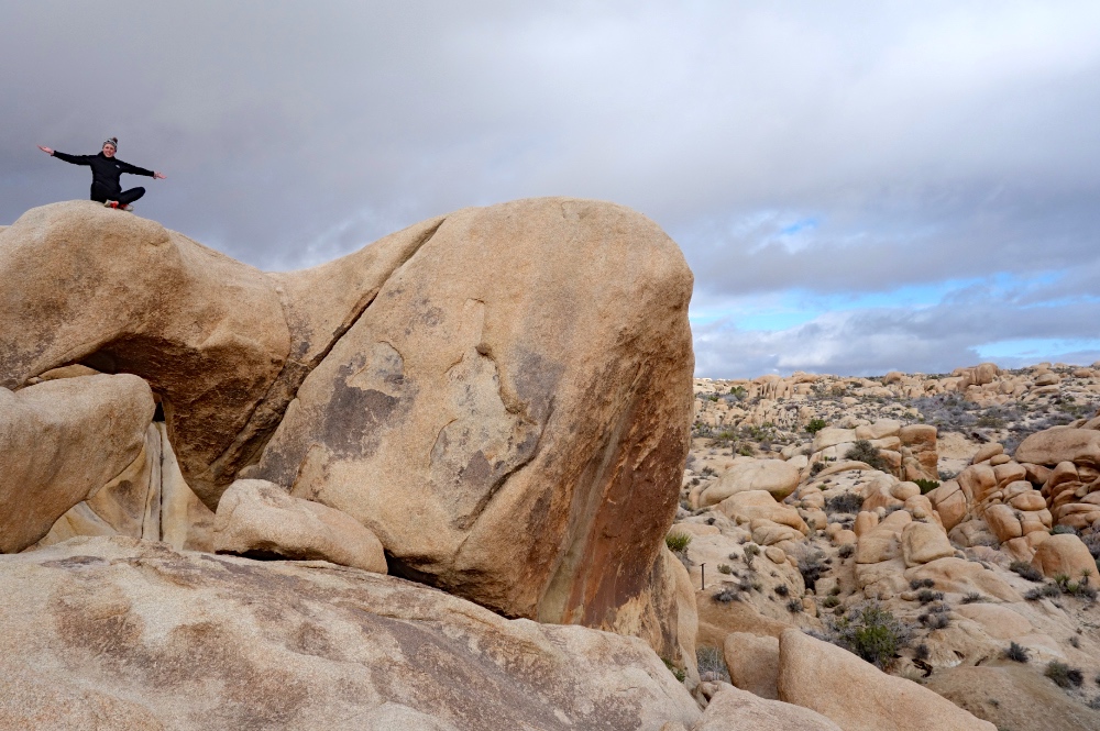 Joshua Tree Corporate Retreat