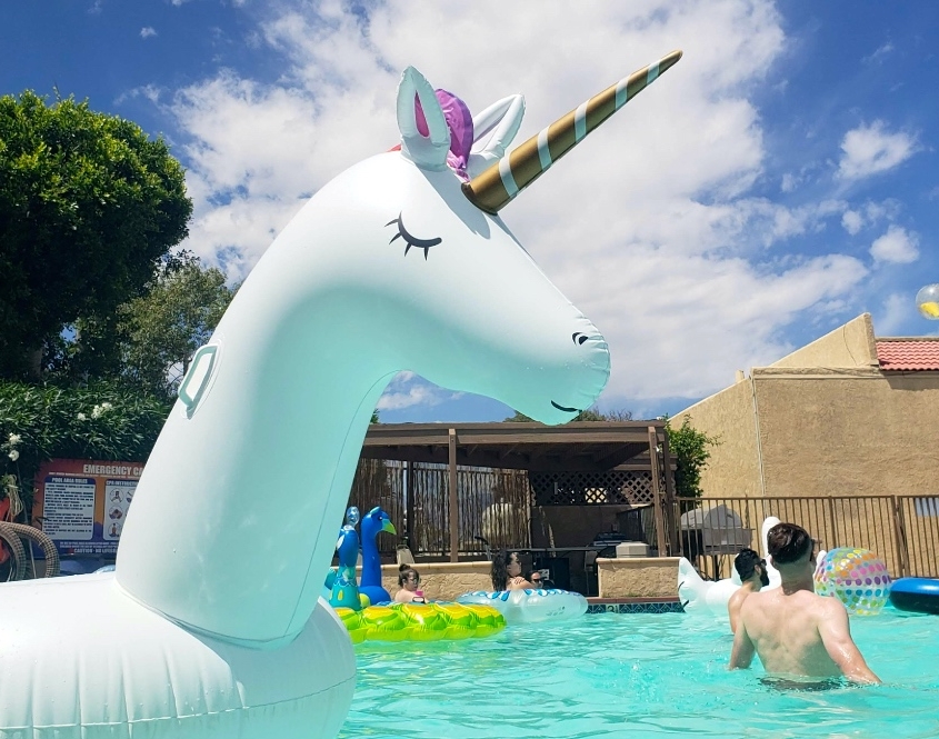 Coachella Pool Party