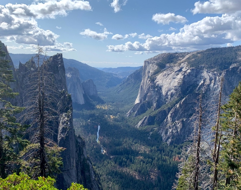 Yosemite Corporate Retreat Valley View