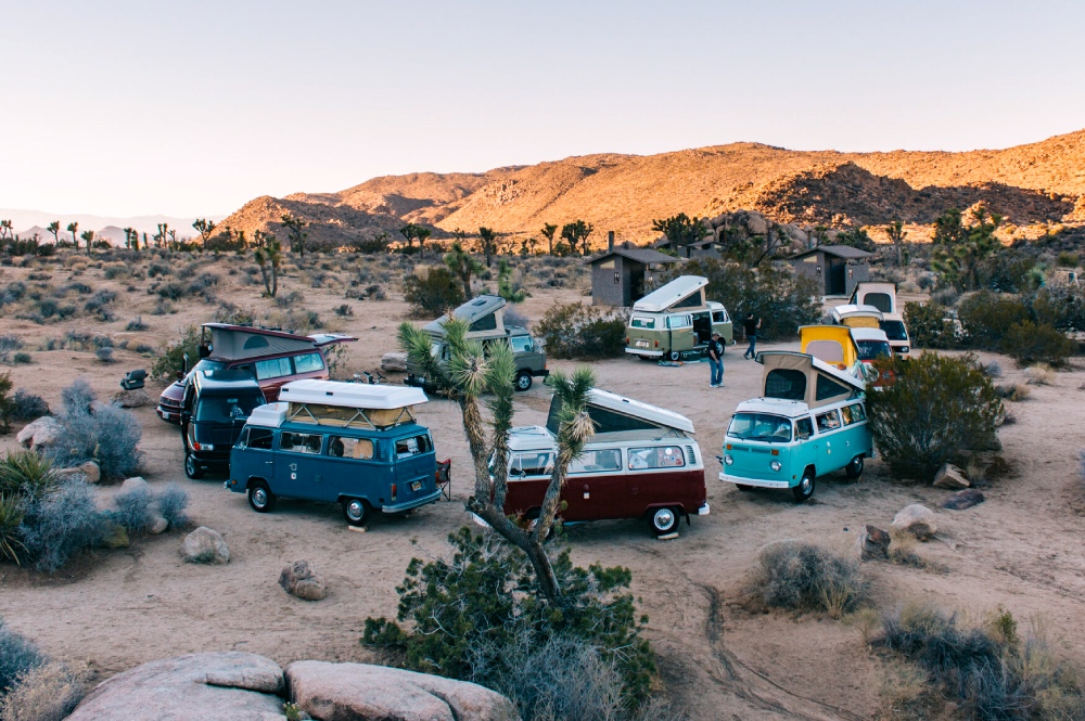 VW Bus Tour to Joshua Tree