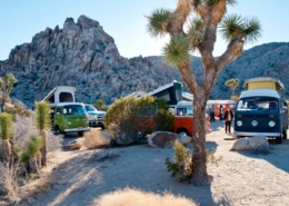 Joshua Tree Corporate Retreat