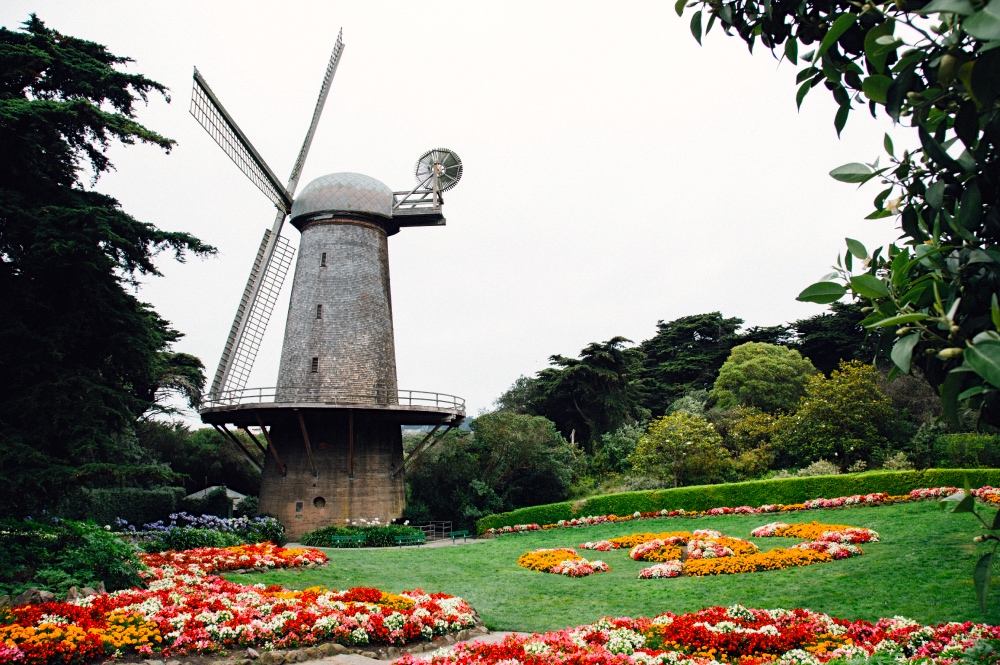 Dutch windmill on sf corporate retreat