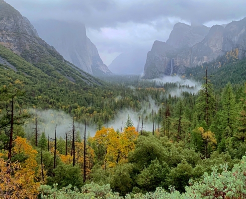 Yosemite Corporate Retreat