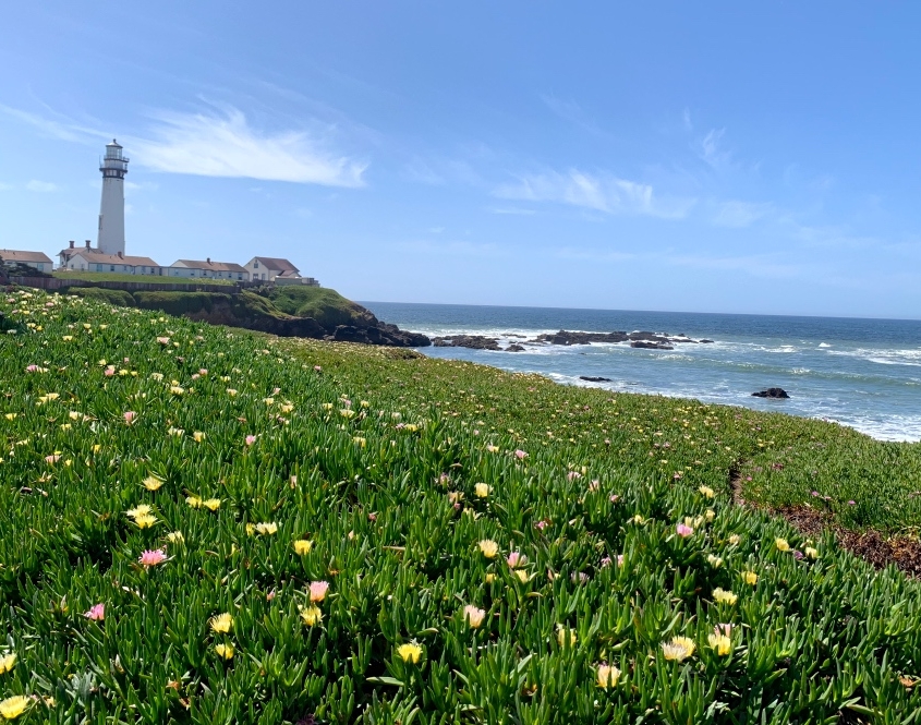 California coastline on a corporate retreat from sf