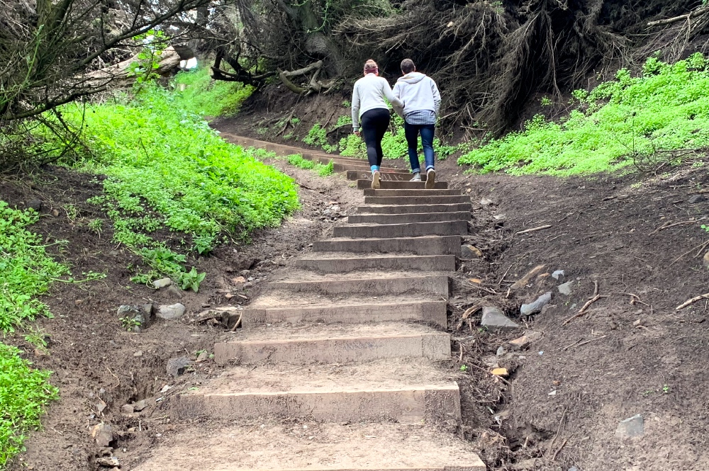 San Francisco Corporate Retreat Hike