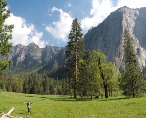 Yosemite Offsite from San Francisco Meadow