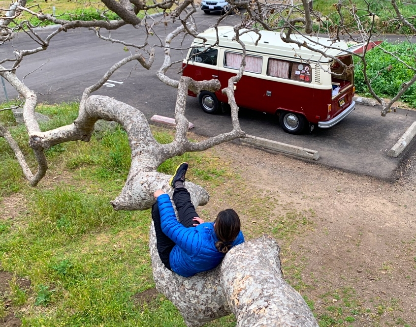 Malibu camping in a vw bus