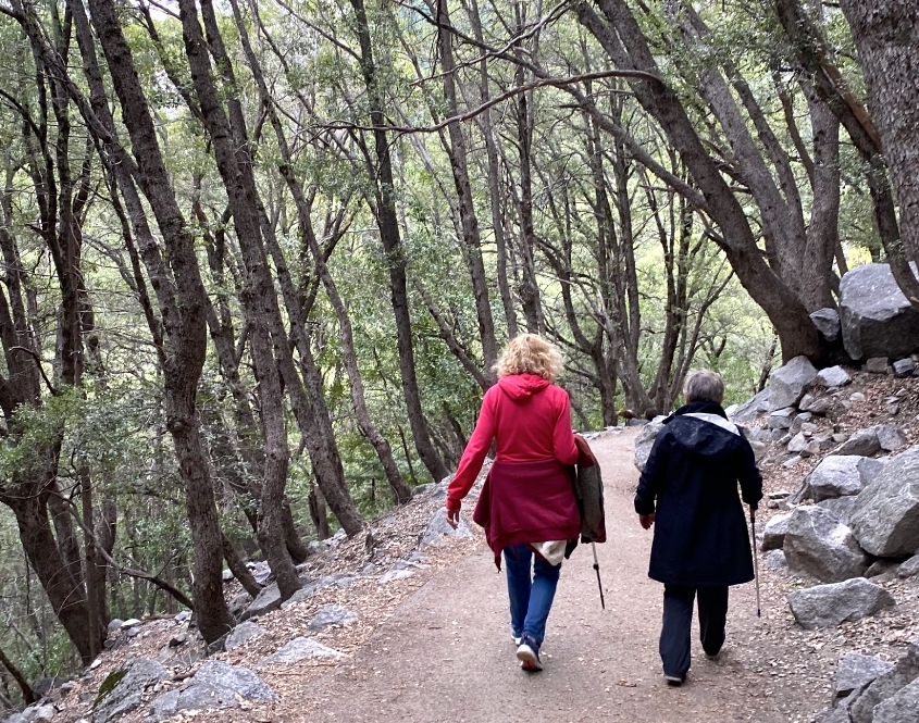 Yosemite Corporate Retreat Hike