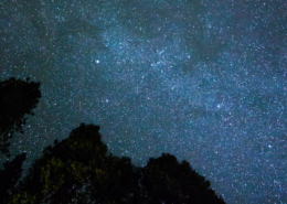 Yosemite Stars