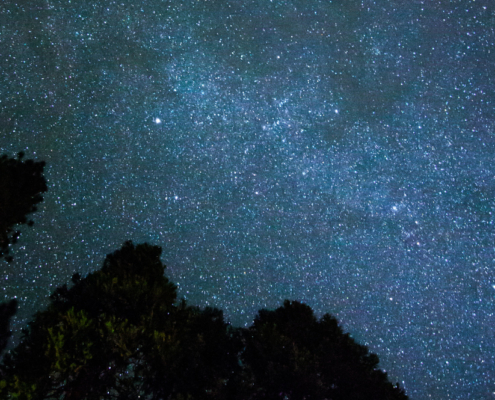 Yosemite Stars