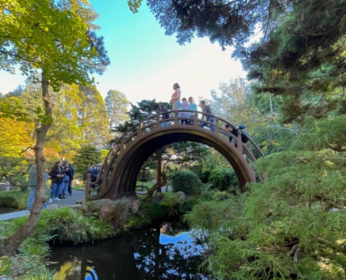 Japanese Tea Garden