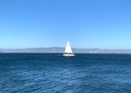 San Francisco Bay Cruise