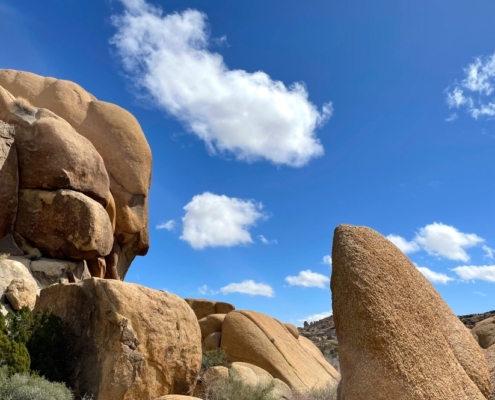 Face Rock Joshua Tree Corporate Retreat