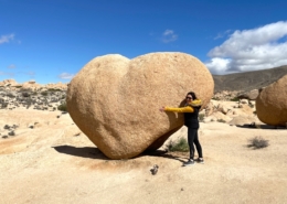 Heart Rock on Joshua Tree corporate Retreat