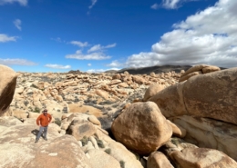 Joshua Tree Private Tour