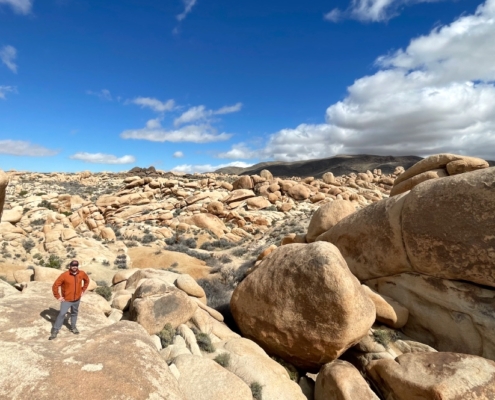 Joshua Tree Private Tour