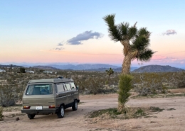 Joshua Tree road trip VW camper