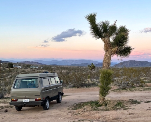 Joshua Tree road trip VW camper