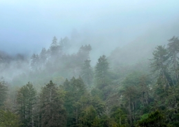 Big Sur Offsite from San Francisco