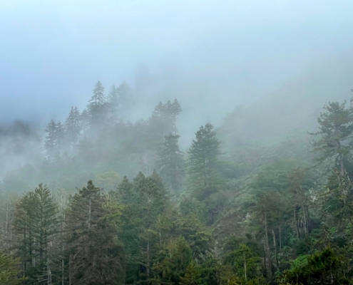 Big Sur Offsite from San Francisco